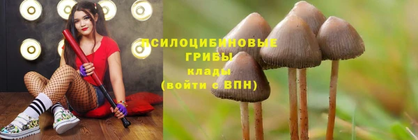 дурь Елабуга
