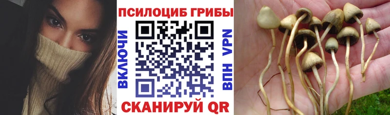 Галлюциногенные грибы Magic Shrooms  Нефтекамск 