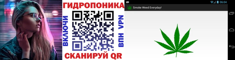 Бошки Шишки OG Kush  Нефтекамск 